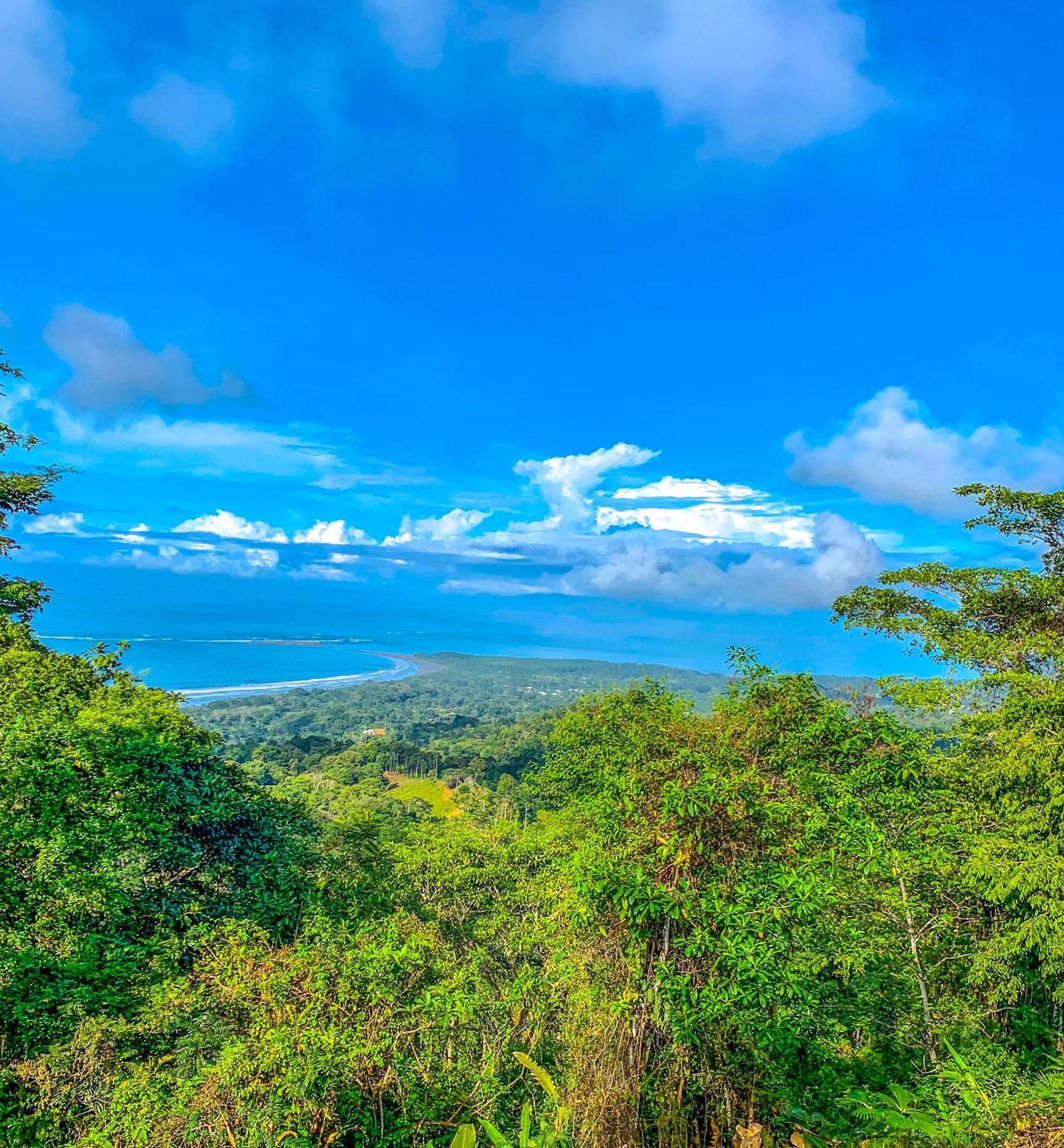 Breathtaking Ocean View On Mountain In The Jungle